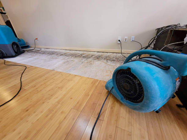 Professional Water Damage Repair technician working in Corinth, TX